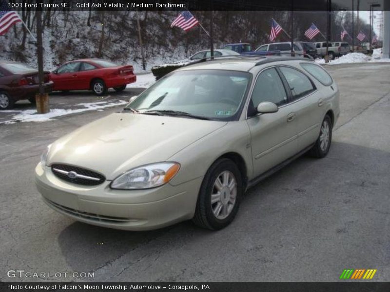 Gold Ash Metallic / Medium Parchment 2003 Ford Taurus SEL