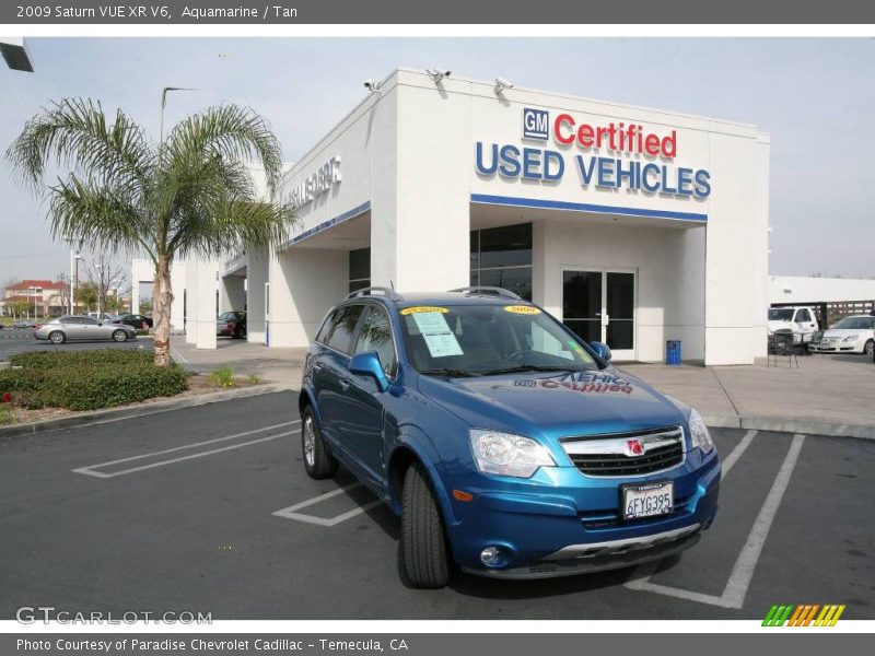 Aquamarine / Tan 2009 Saturn VUE XR V6