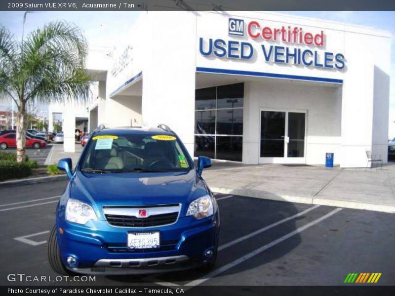 Aquamarine / Tan 2009 Saturn VUE XR V6