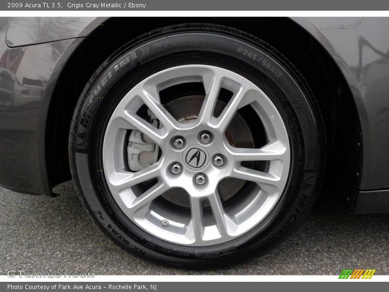 Grigio Gray Metallic / Ebony 2009 Acura TL 3.5