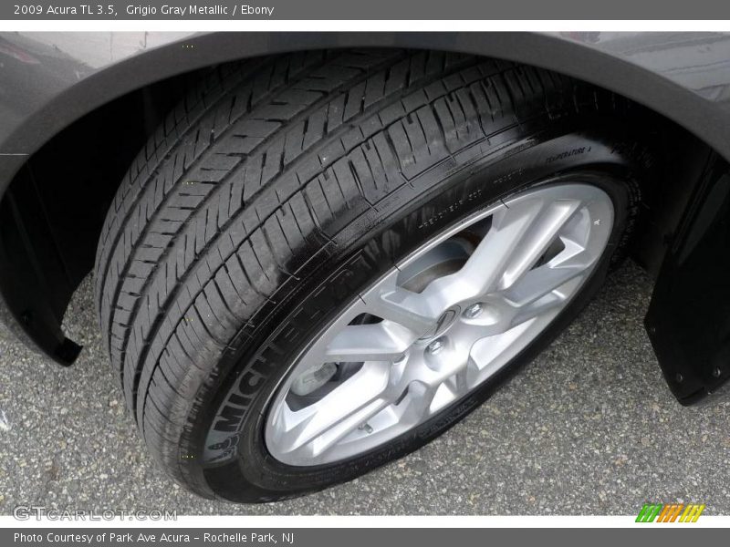 Grigio Gray Metallic / Ebony 2009 Acura TL 3.5
