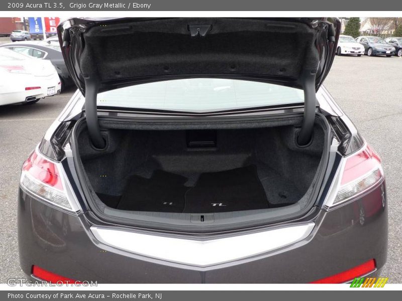 Grigio Gray Metallic / Ebony 2009 Acura TL 3.5