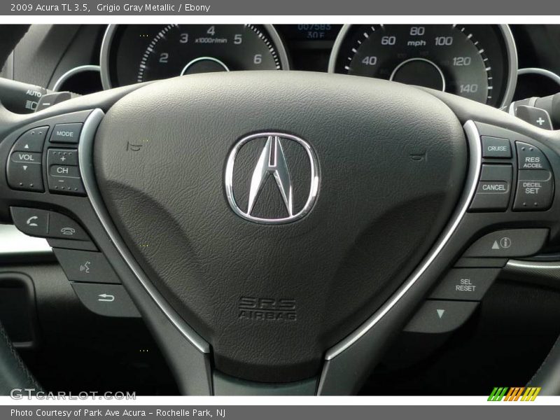 Grigio Gray Metallic / Ebony 2009 Acura TL 3.5