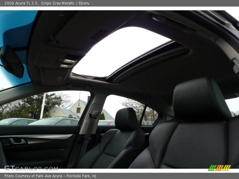 Grigio Gray Metallic / Ebony 2009 Acura TL 3.5