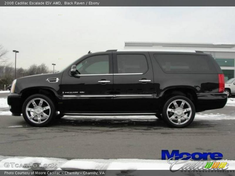 Black Raven / Ebony 2008 Cadillac Escalade ESV AWD