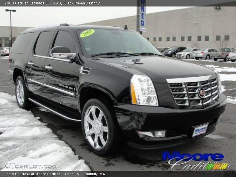 Black Raven / Ebony 2008 Cadillac Escalade ESV AWD