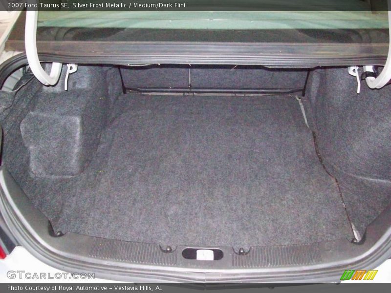 Silver Frost Metallic / Medium/Dark Flint 2007 Ford Taurus SE