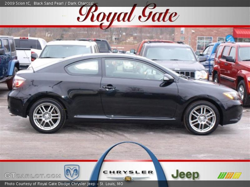 Black Sand Pearl / Dark Charcoal 2009 Scion tC