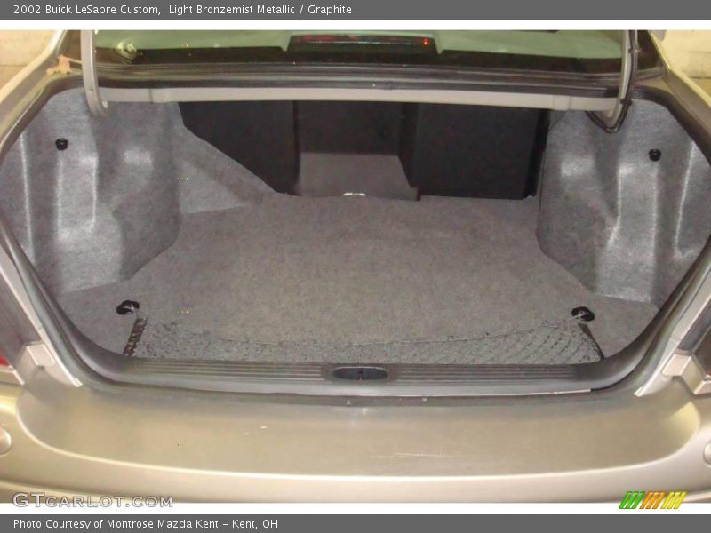 Light Bronzemist Metallic / Graphite 2002 Buick LeSabre Custom