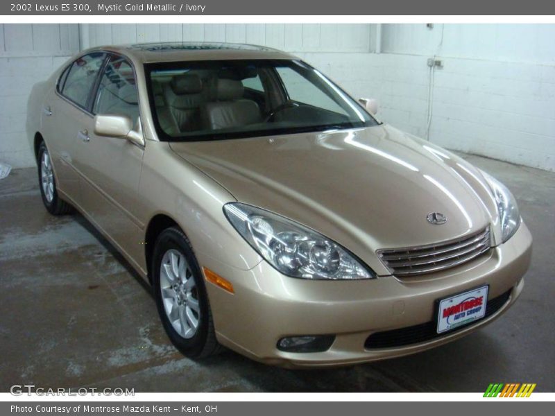 Mystic Gold Metallic / Ivory 2002 Lexus ES 300