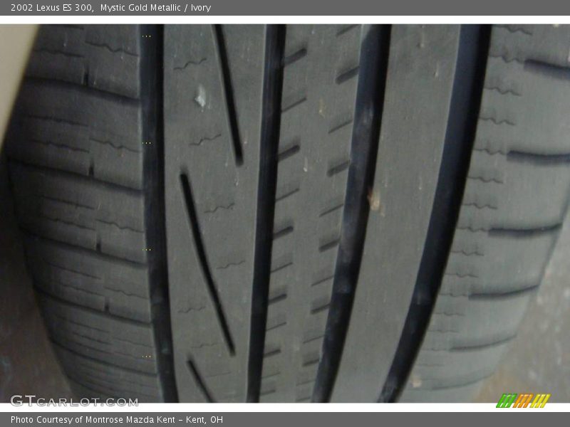 Mystic Gold Metallic / Ivory 2002 Lexus ES 300