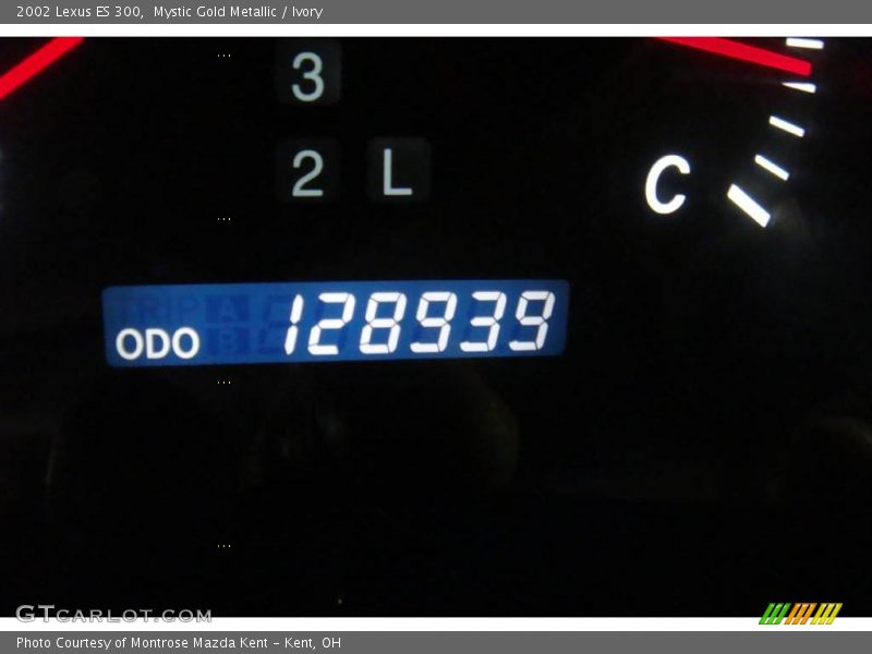 Mystic Gold Metallic / Ivory 2002 Lexus ES 300