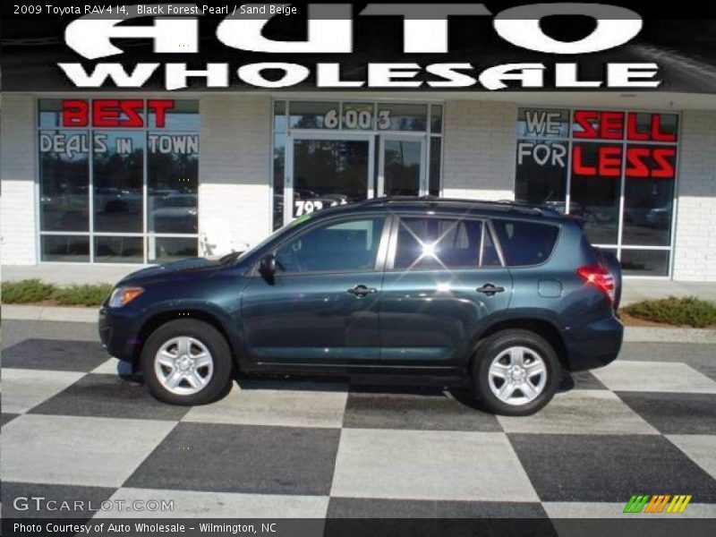 Black Forest Pearl / Sand Beige 2009 Toyota RAV4 I4