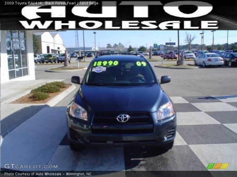 Black Forest Pearl / Sand Beige 2009 Toyota RAV4 I4