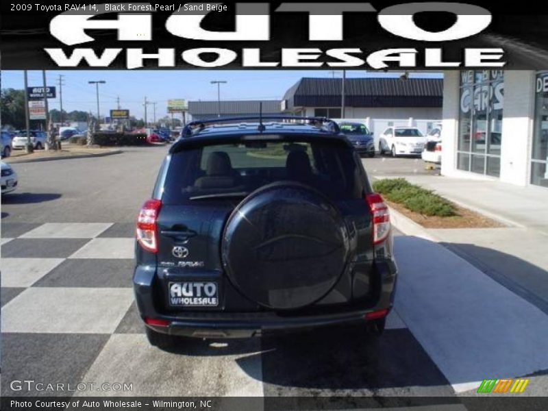 Black Forest Pearl / Sand Beige 2009 Toyota RAV4 I4