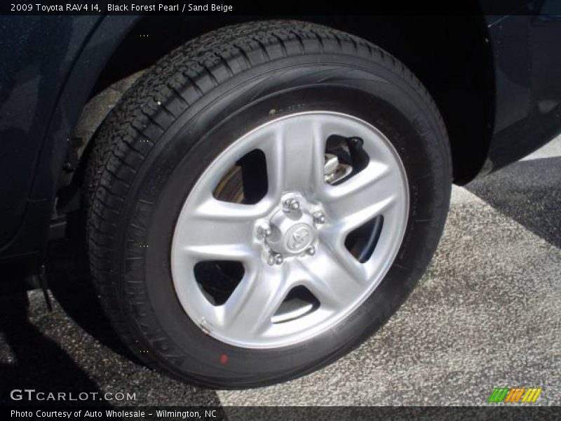 Black Forest Pearl / Sand Beige 2009 Toyota RAV4 I4