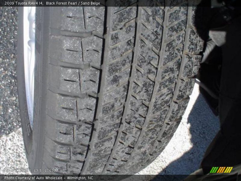 Black Forest Pearl / Sand Beige 2009 Toyota RAV4 I4