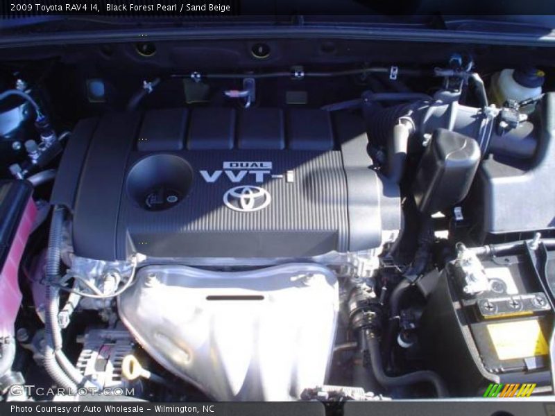 Black Forest Pearl / Sand Beige 2009 Toyota RAV4 I4