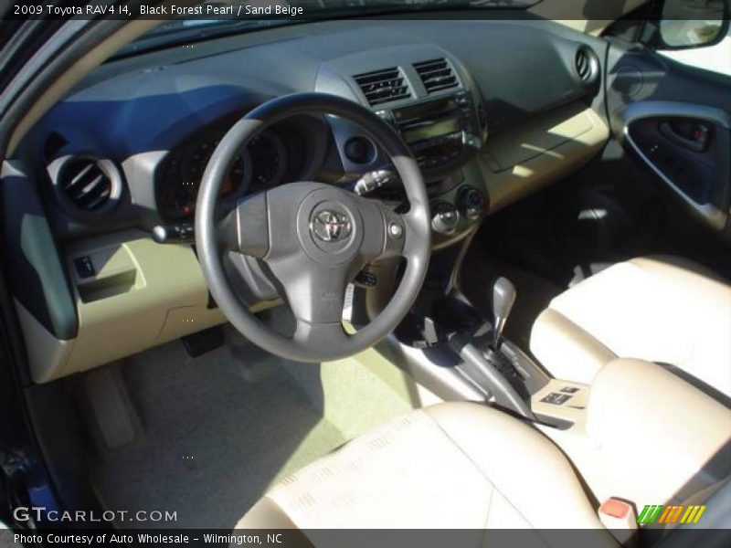 Black Forest Pearl / Sand Beige 2009 Toyota RAV4 I4