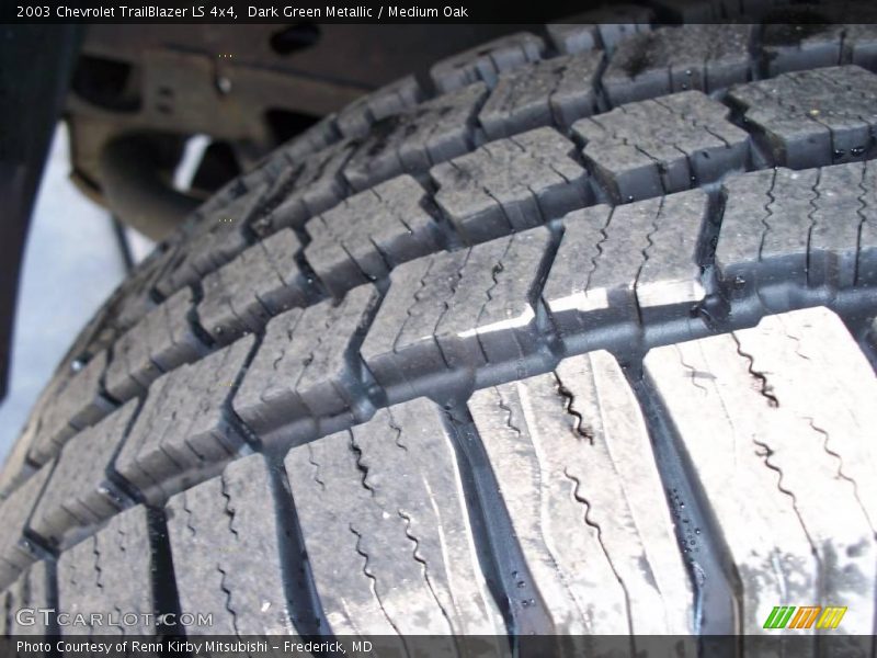 Dark Green Metallic / Medium Oak 2003 Chevrolet TrailBlazer LS 4x4