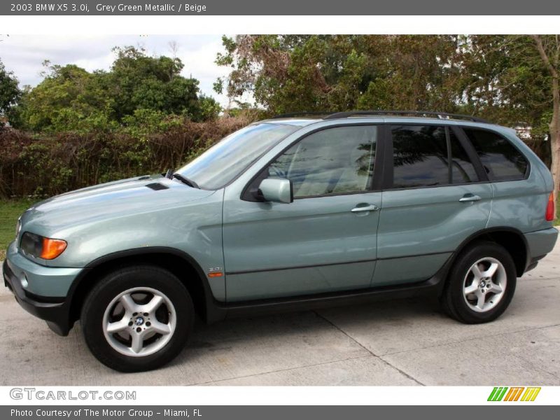 Grey Green Metallic / Beige 2003 BMW X5 3.0i