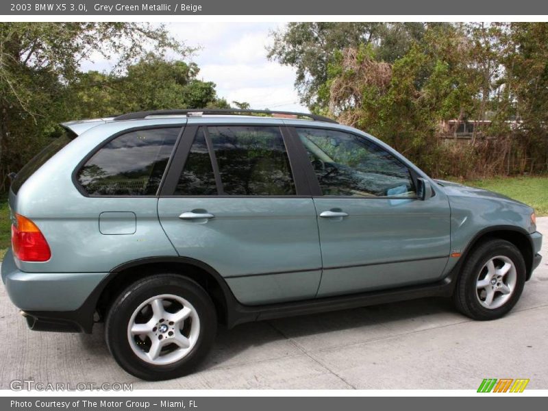 Grey Green Metallic / Beige 2003 BMW X5 3.0i
