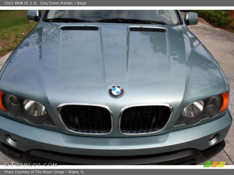 Grey Green Metallic / Beige 2003 BMW X5 3.0i