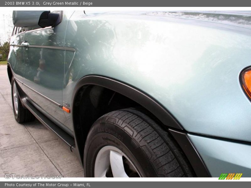 Grey Green Metallic / Beige 2003 BMW X5 3.0i