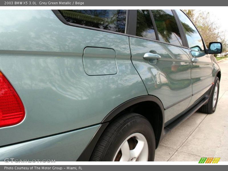 Grey Green Metallic / Beige 2003 BMW X5 3.0i