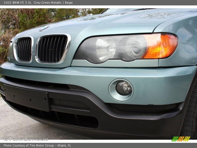 Grey Green Metallic / Beige 2003 BMW X5 3.0i