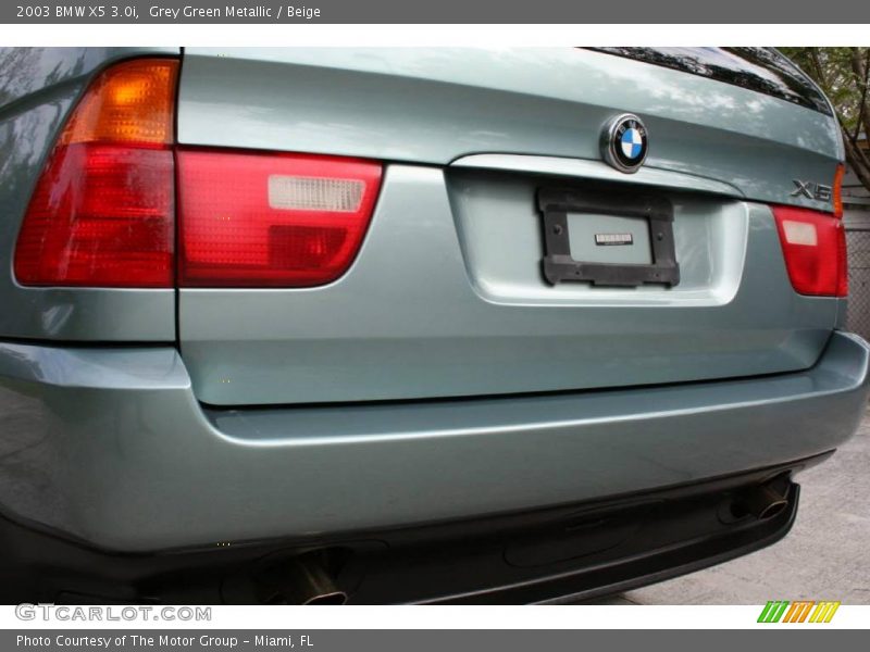 Grey Green Metallic / Beige 2003 BMW X5 3.0i