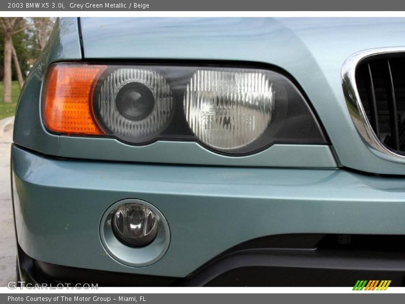 Grey Green Metallic / Beige 2003 BMW X5 3.0i