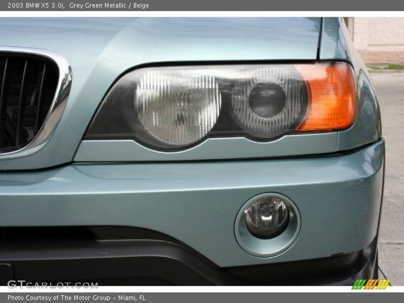 Grey Green Metallic / Beige 2003 BMW X5 3.0i
