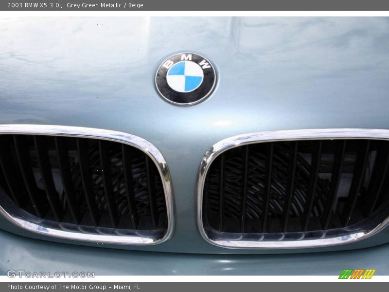 Grey Green Metallic / Beige 2003 BMW X5 3.0i