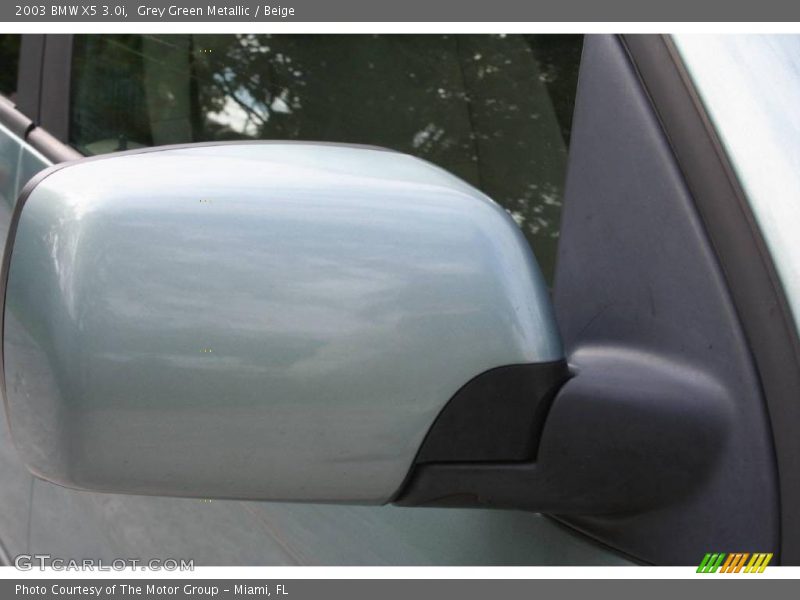 Grey Green Metallic / Beige 2003 BMW X5 3.0i