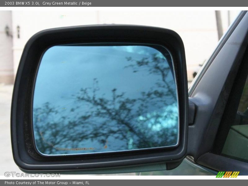 Grey Green Metallic / Beige 2003 BMW X5 3.0i