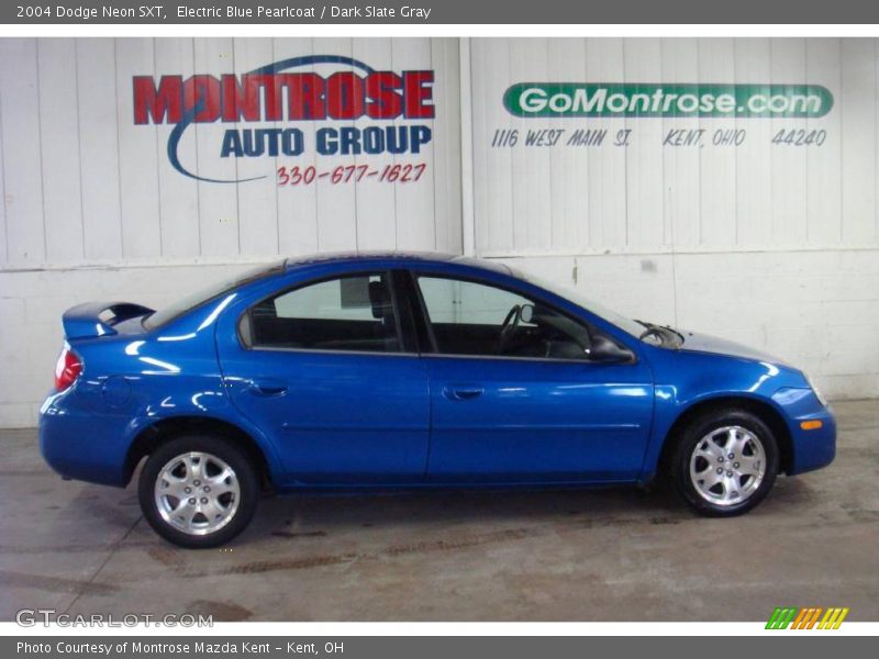 Electric Blue Pearlcoat / Dark Slate Gray 2004 Dodge Neon SXT