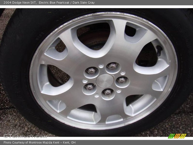 Electric Blue Pearlcoat / Dark Slate Gray 2004 Dodge Neon SXT