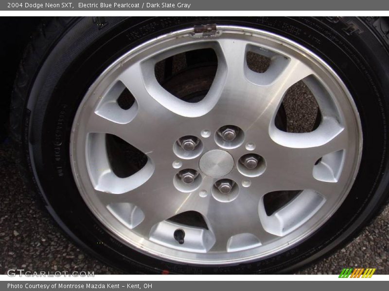 Electric Blue Pearlcoat / Dark Slate Gray 2004 Dodge Neon SXT