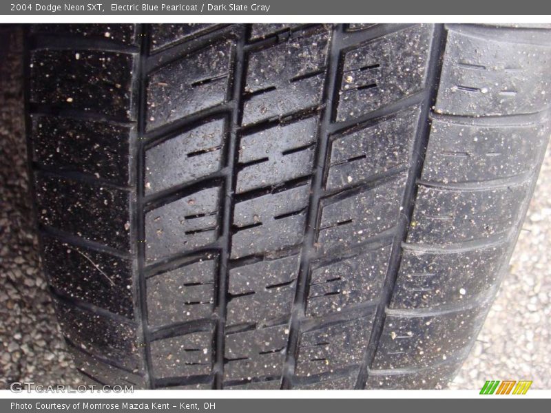 Electric Blue Pearlcoat / Dark Slate Gray 2004 Dodge Neon SXT