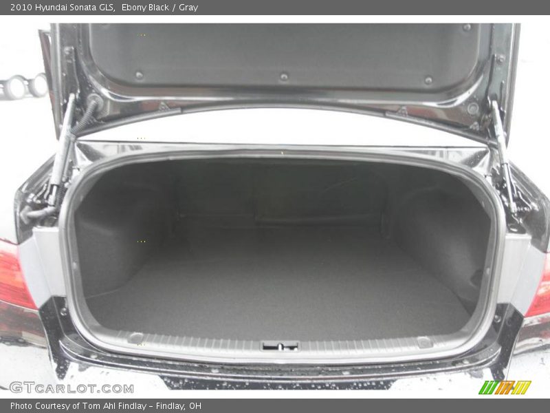Ebony Black / Gray 2010 Hyundai Sonata GLS