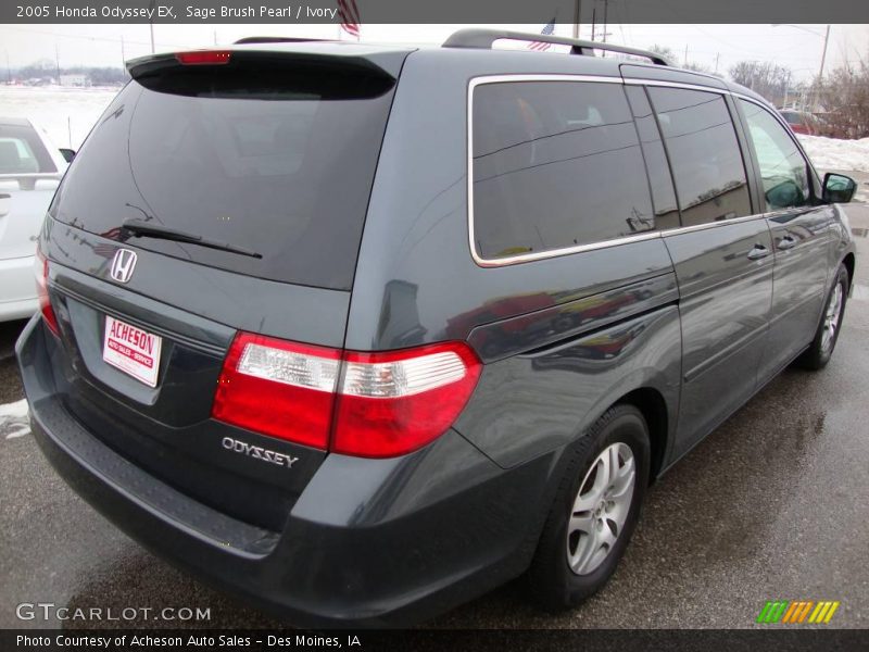 Sage Brush Pearl / Ivory 2005 Honda Odyssey EX