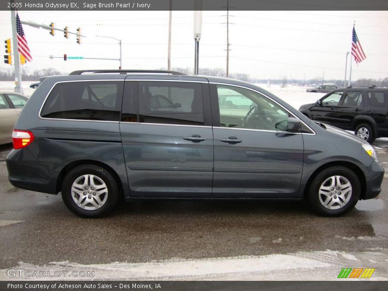 Sage Brush Pearl / Ivory 2005 Honda Odyssey EX