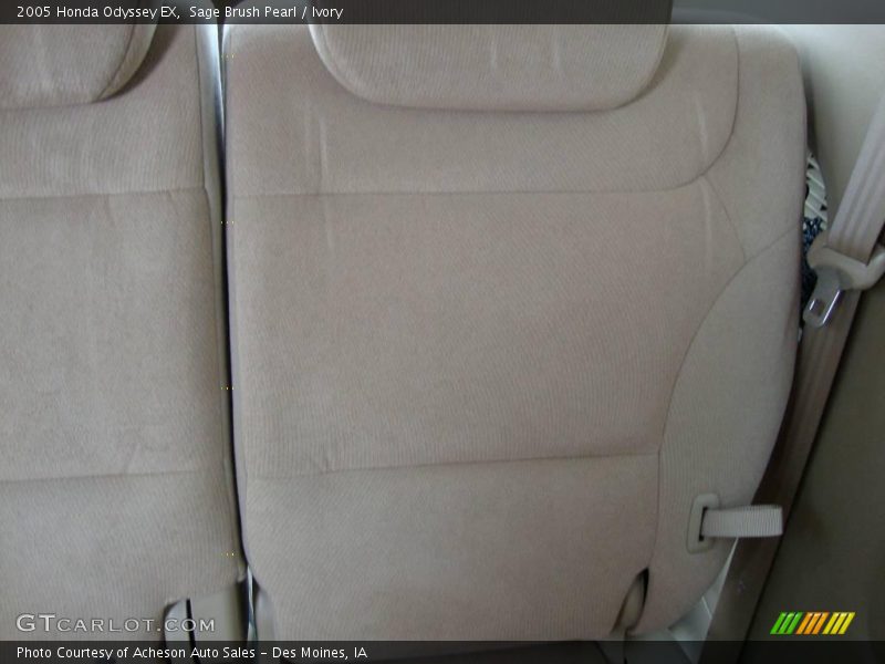 Sage Brush Pearl / Ivory 2005 Honda Odyssey EX