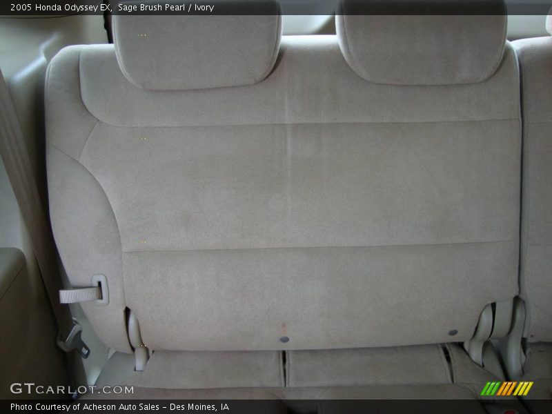 Sage Brush Pearl / Ivory 2005 Honda Odyssey EX