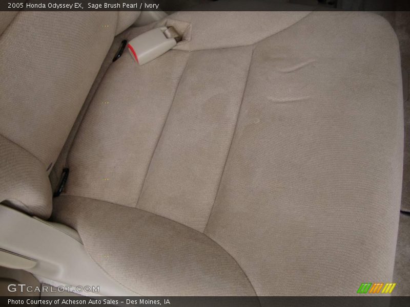 Sage Brush Pearl / Ivory 2005 Honda Odyssey EX