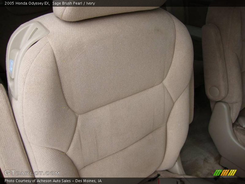 Sage Brush Pearl / Ivory 2005 Honda Odyssey EX