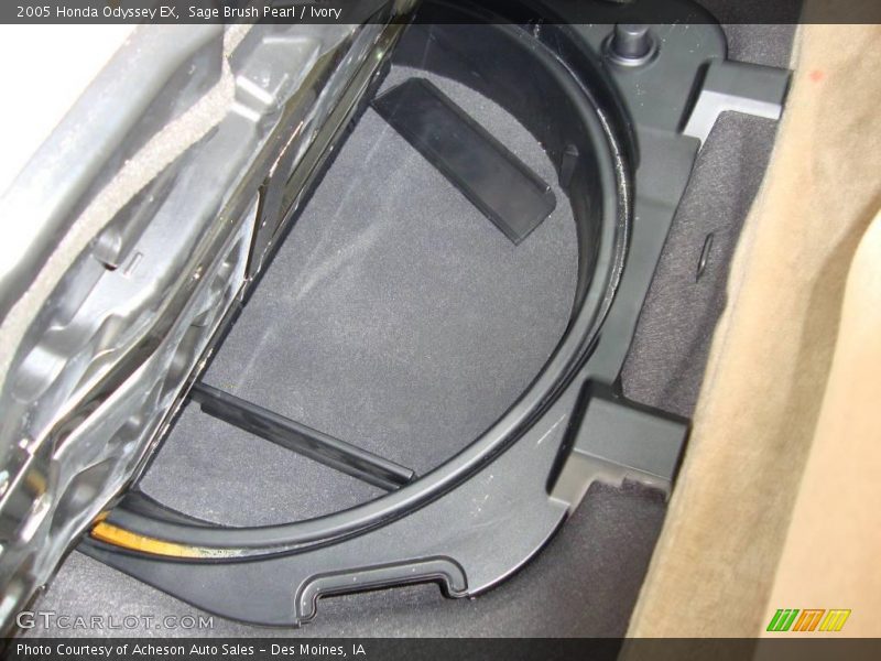 Sage Brush Pearl / Ivory 2005 Honda Odyssey EX