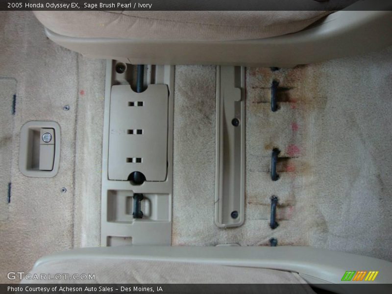 Sage Brush Pearl / Ivory 2005 Honda Odyssey EX