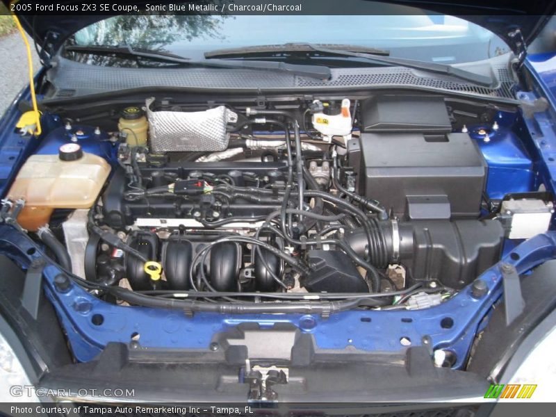 Sonic Blue Metallic / Charcoal/Charcoal 2005 Ford Focus ZX3 SE Coupe